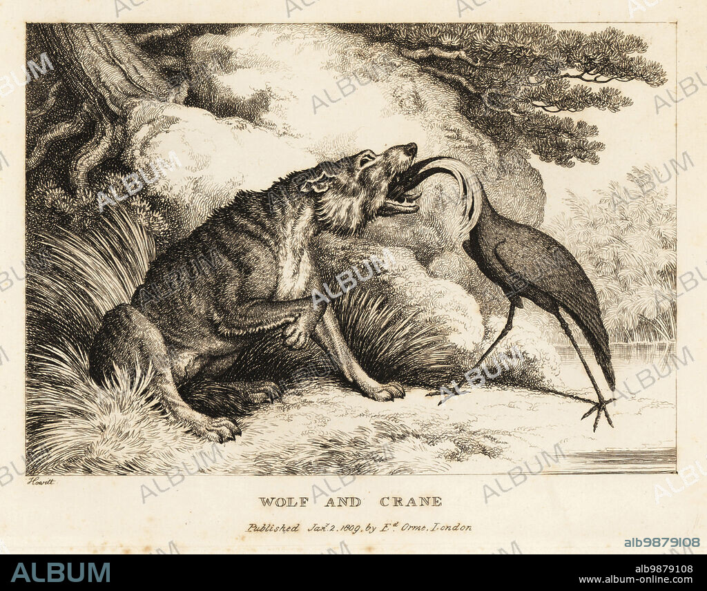 A crane puts its head into a wolf's mouth to remove a bone stuck in its throat. Wolf and crane. Illustration of a fable by Greek author Aesop. Copperplate etching drawn and engraved from life by Samuel Howitt from his own A New Work of Animals, Principally Designed from the Fables of Aesop, Gay and Phaedrus, Edward Orme, London, 1811.