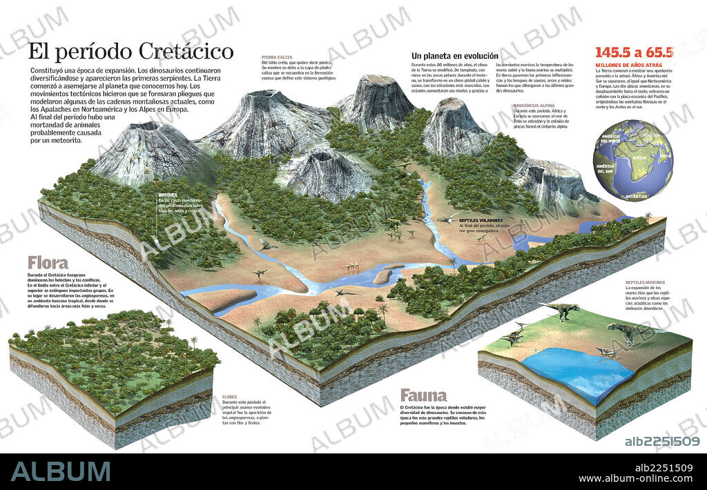 CRETACEOUS PERIOD. Infographic of the relief and the environment during the Cretaceous, and the fauna and flora typical of this period.