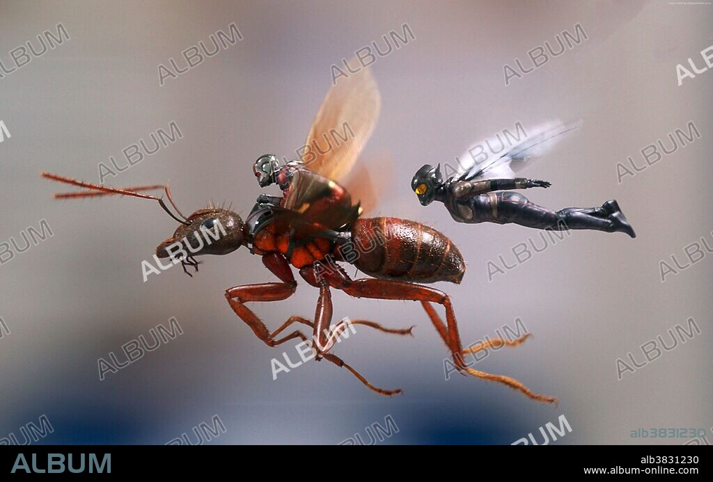 EVANGELINE LILLY y PAUL RUDD en ANT-MAN Y LA AVISPA, 2018 (ANT-MAN AND THE WASP), dirigida por PEYTON REED. Copyright MARVEL STUDIOS.