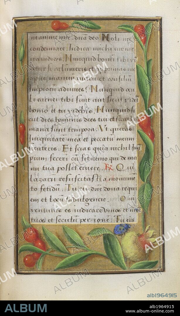 Pomegranate. Book of Hours. France; circa 1500. [Whole folio] Text. Borders with trompe l'oeil decoration of Pomegranate.  Image taken from Book of Hours.  Originally published/produced in France [Paris]; 1515 - 1520. . Source: Add. 35214, f.112. Language: Latin.