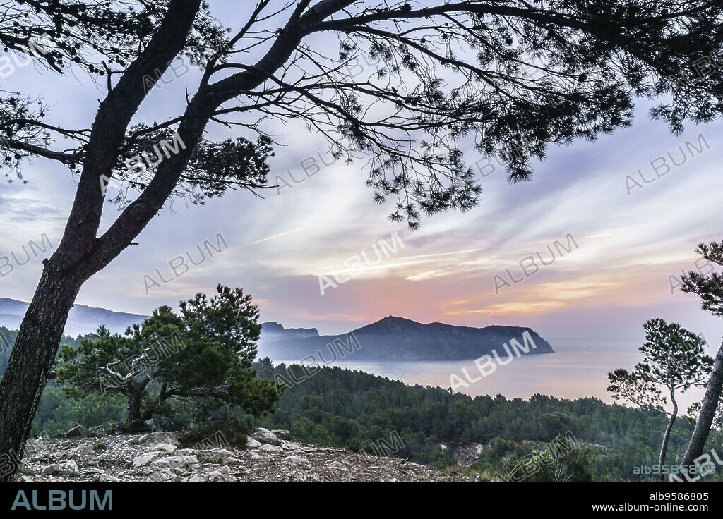 cabo Norfeu, Parque Natural del cabo de Creus, Girona, Catalunya, Spain.