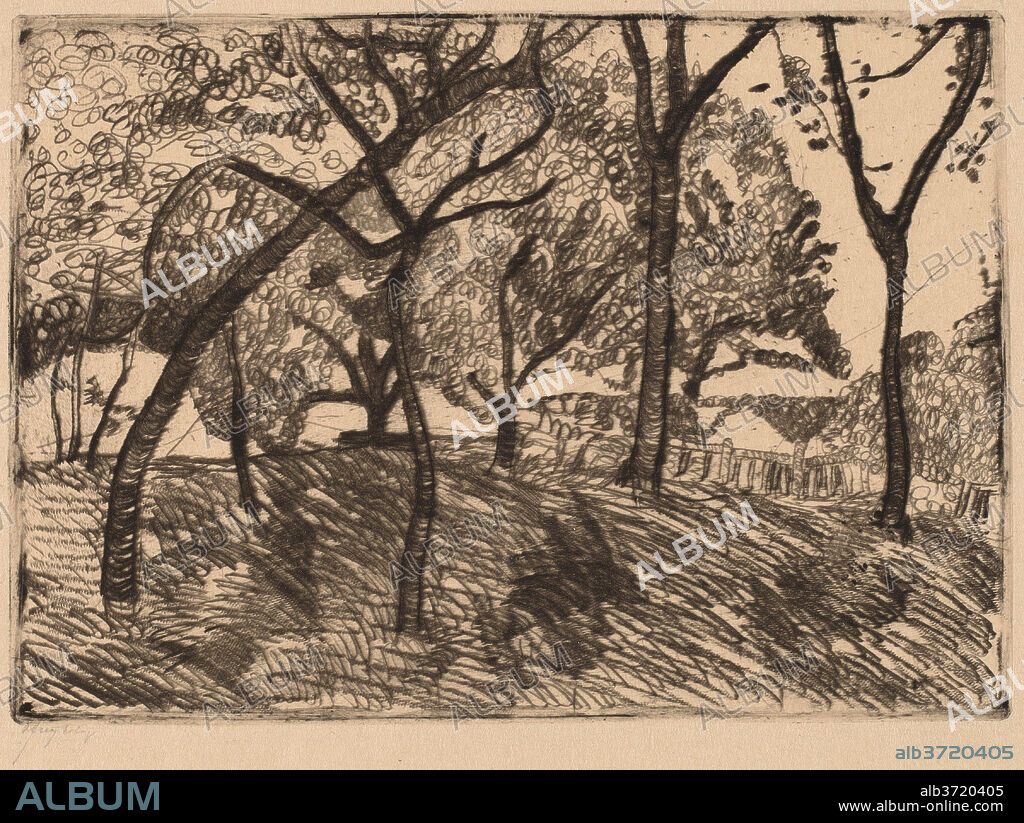 PAULA MODERSOHN-BECKER. Landscape with Trees. Dated: c. 1902. Dimensions: plate: 9.8 × 13.9 cm (3 7/8 × 5 1/2 in.)  sheet: 19.1 × 21.7 cm (7 1/2 × 8 9/16 in.). Medium: drypoint, etching and roulette on wove paper.
