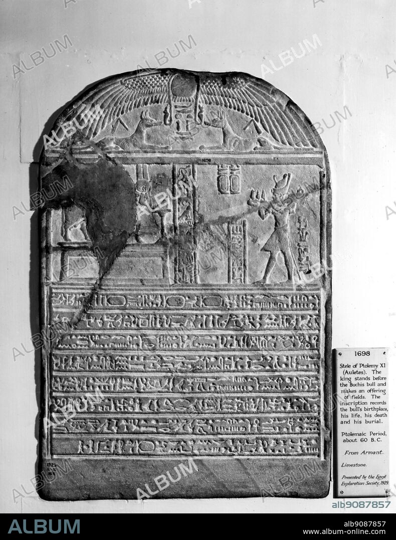 Stele of Ptolemy XI, Aulettes. The king stands before the Buchis bull and makes an offering of fields. The inscription records the bulls birthplace, his life, his death and his burial. Ptolemaic Period c 60 BC.