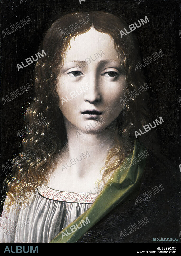 GIOVANNI ANTONIO BOLTRAFFIO. El Salvador adolescente. Date/Period: Ca. 1490-1495. Painting. Oil on panel. Height: 25 cm (9.8 in); Width: 18 cm (7 in).