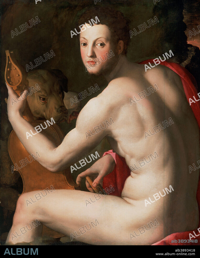 IL BRONZINO. Portrait of Cosimo I de' Medici as Orpheus. Date/Period: Ca. 1537-39. Painting. Oil on panel. Height: 937.26 mm (36.90 in); Width: 764.54 mm (30.10 in).