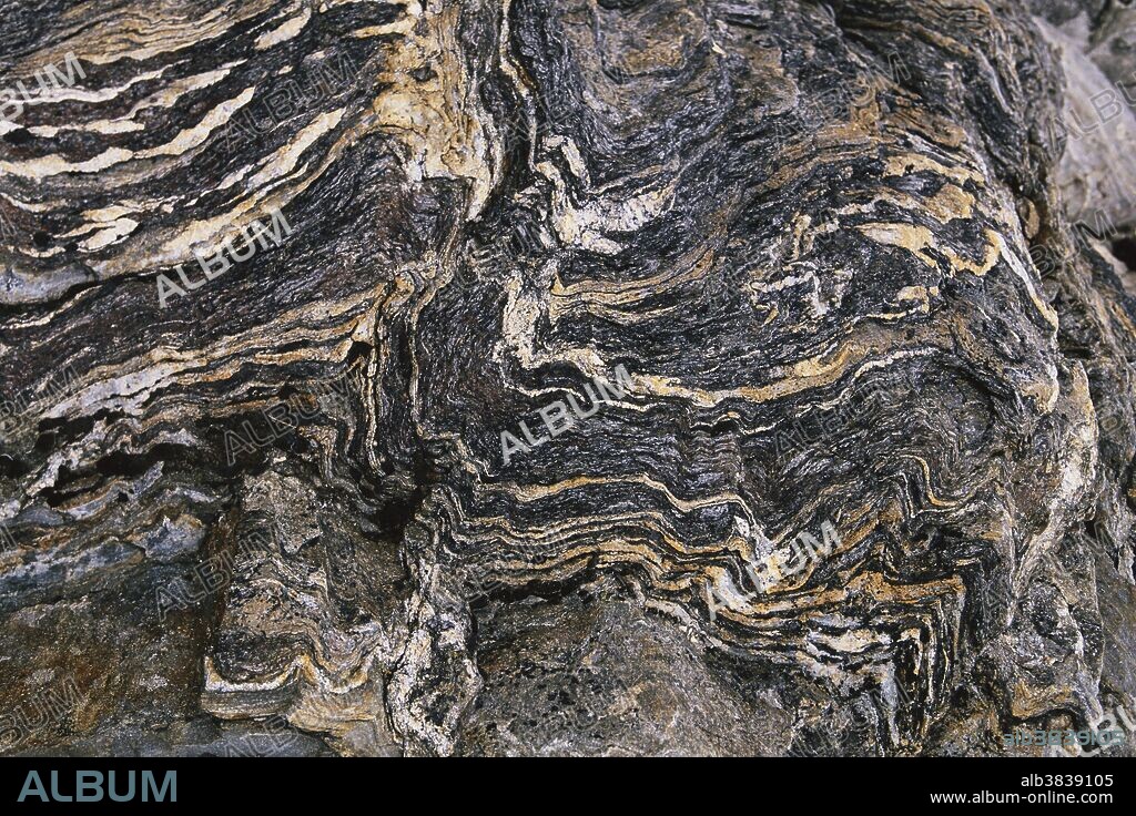 Outcrop of gneiss, a metamorphic rock, in the Andes of Merida, Venezuela, at an elevation of 4700 m.