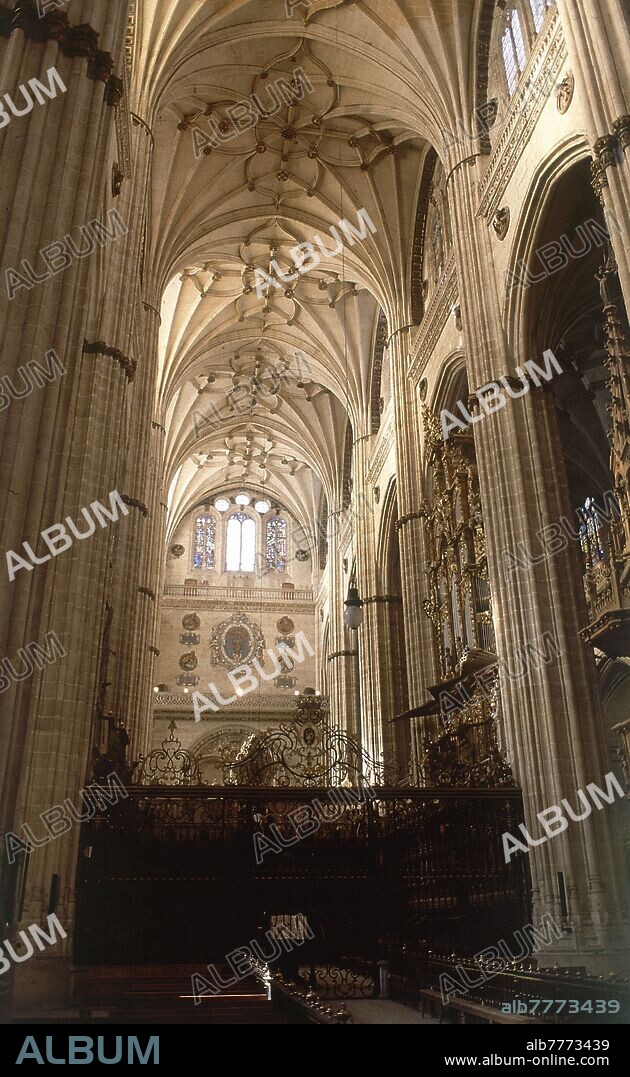 INTERIOR- BOVEDAS ESTRELLADAS DE LA CATEDRAL GOTICA.