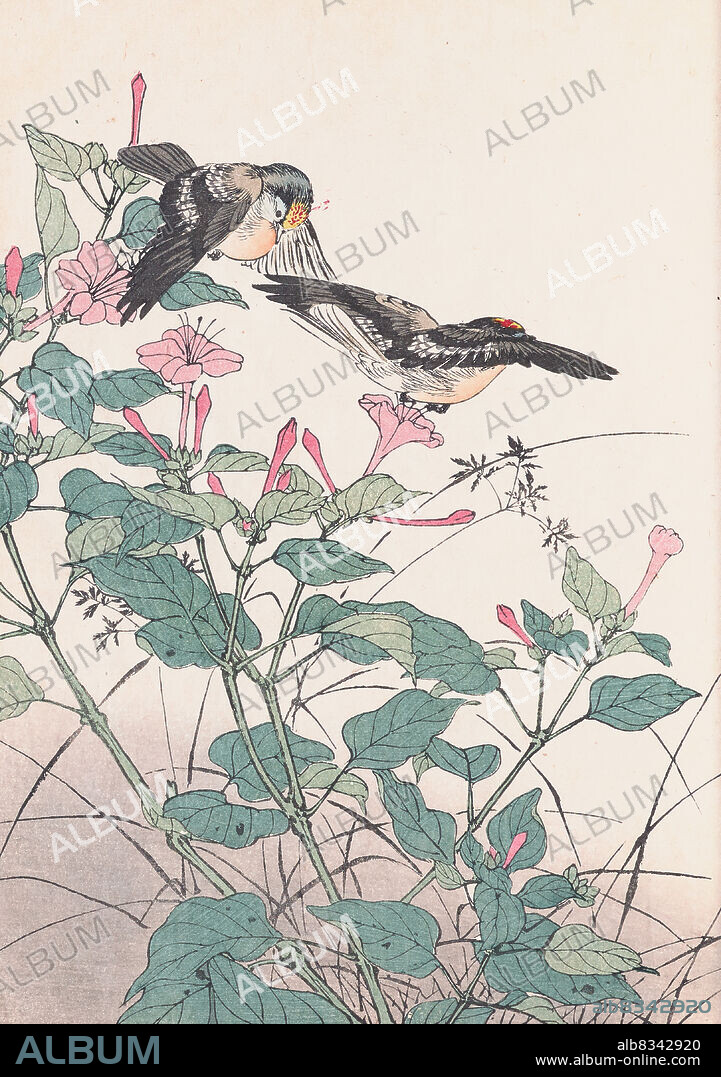 IMAO KEINEN. The Four Seasons Bird and Flower Albums (Keinen Kacho Gafu).
