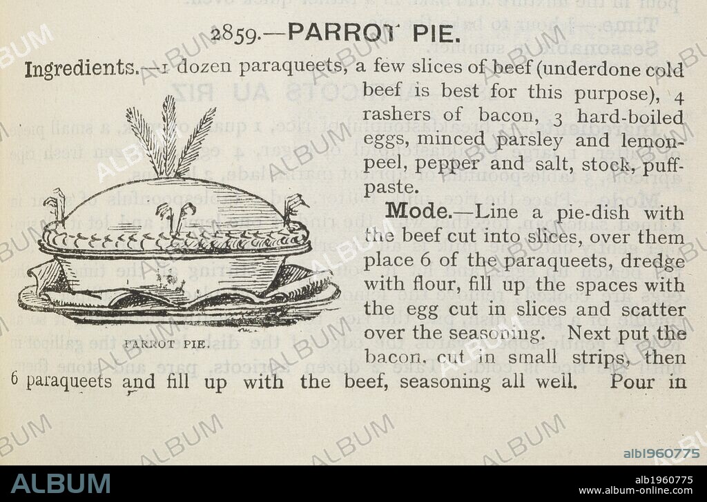 Parrot pie. The book of household management ... London : Ward, Lock, Bowden & Co., 1892. Source: 7942.dd.9, page 1259. Language: English.