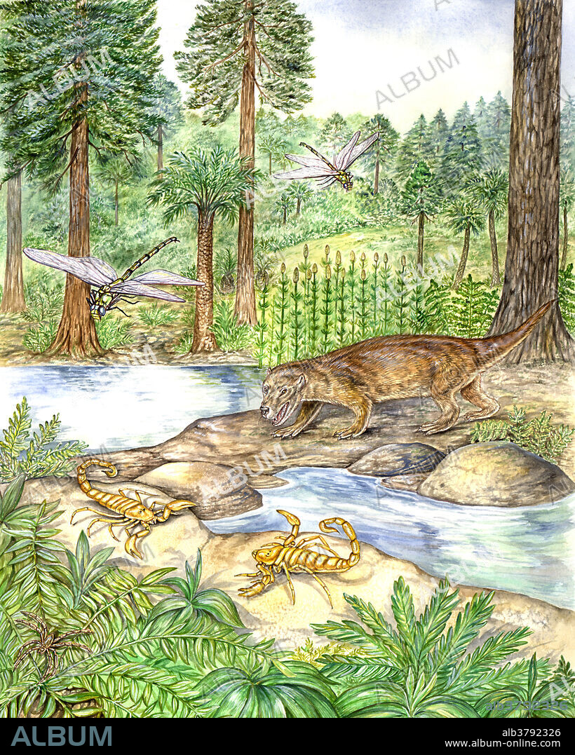 The cynodont Thrinaxodon, a small meat eating mammal-like reptile of the early Triassic, looked very much like a dog and could possibly have been covered with hair. Other prominent wildlife of this time period included spiders, scorpions, and giant dragonflies.
