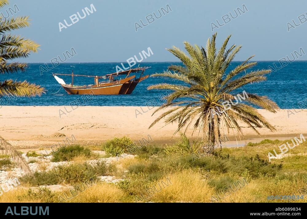 OM, Oman, hinter Sadah Richtung Hadbin, Dhau im arabischen Meer.