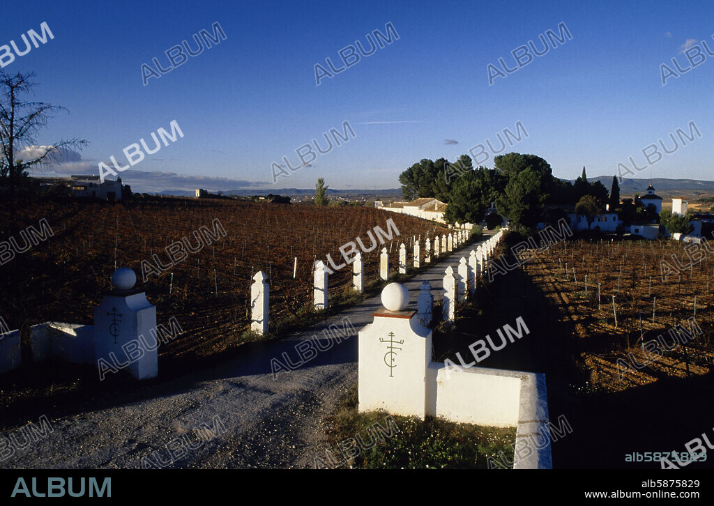 Denominación de Origen Requena-Utiel; Bodega cerca de San Juan (comarca de Requena-Utiel).