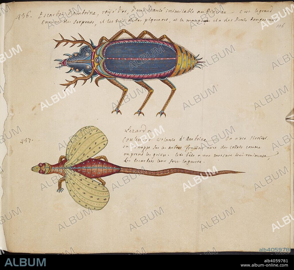 Creatures resembling aquatic insects. [A volume of painted drawings on the subject of marine life from the East Indies, in the Sloane collection, presented to Hans Sloane by Louis Renard. 18th century. Source: Add. 5268, f.106.