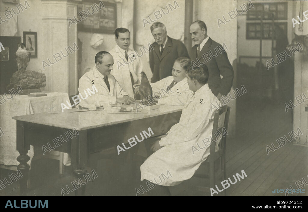 Madrid, January 1922. SS.AA.RR the Prince of Asturias, Don Alfonso (1) and the Infante Don Jaime (2), with the director of the museum, Mr. Bolívar (3) and the deputy director, Mr. Madrid Moreno (4), studying taxidermy with the teachers, Messrs. Benedito (5 and 6), the famous Benedito brothers.