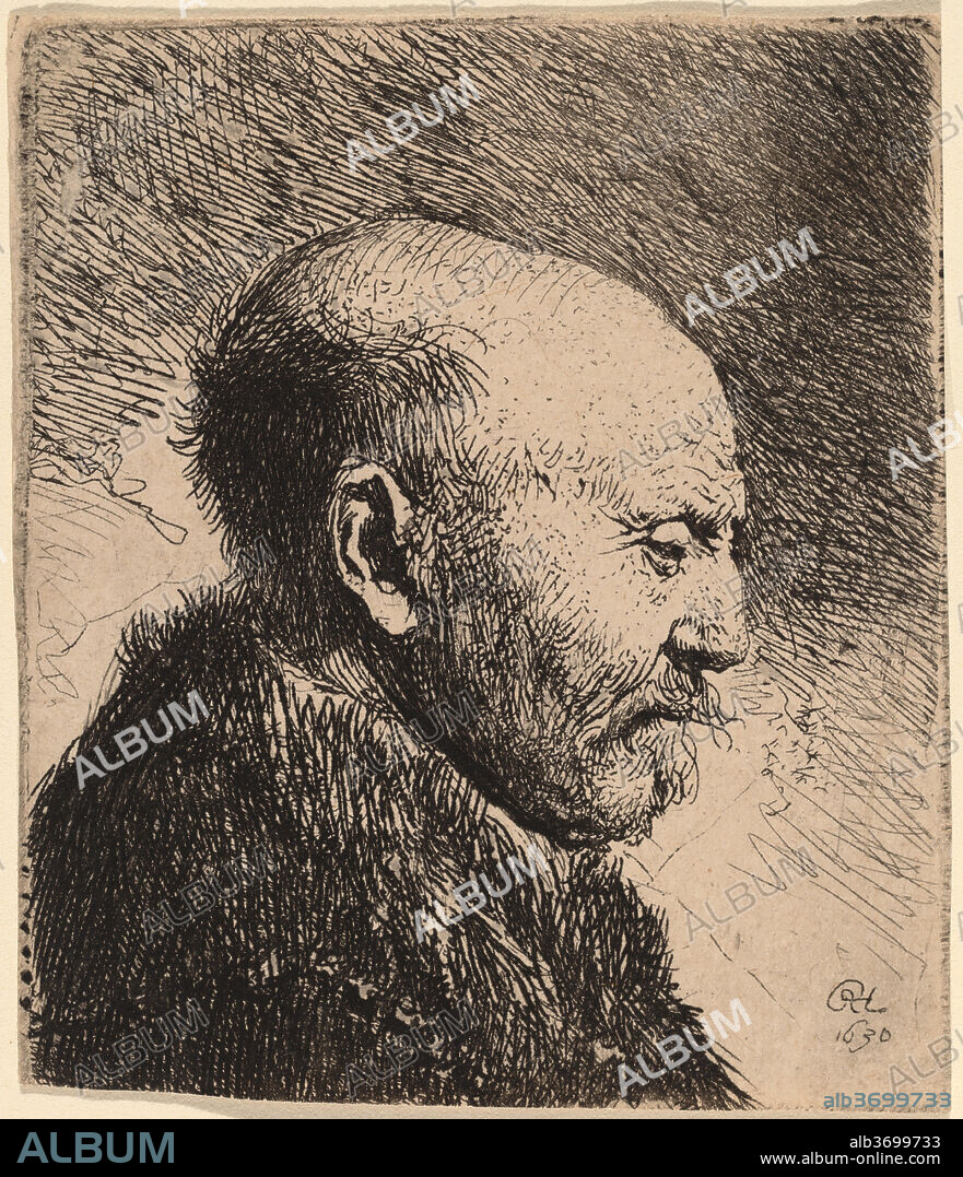 REMBRANDT. A Bald Man in Profile (The Artist's Father?). Dated: 1630. Dimensions: sheet: 6.7 x 5.7 cm (2 5/8 x 2 1/4 in.) cut to platemark. Medium: etching on laid paper.