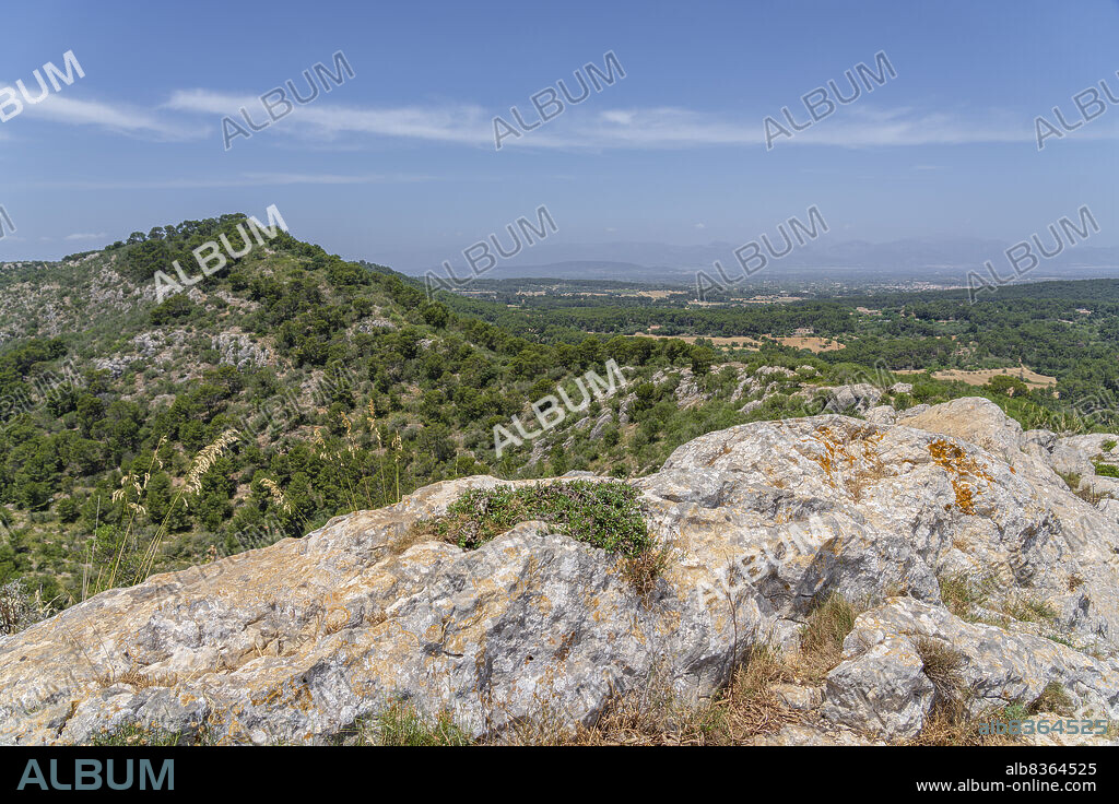 Sierra de Galdent, Llucmajor, Majorca, Balearic Islands, Spain.