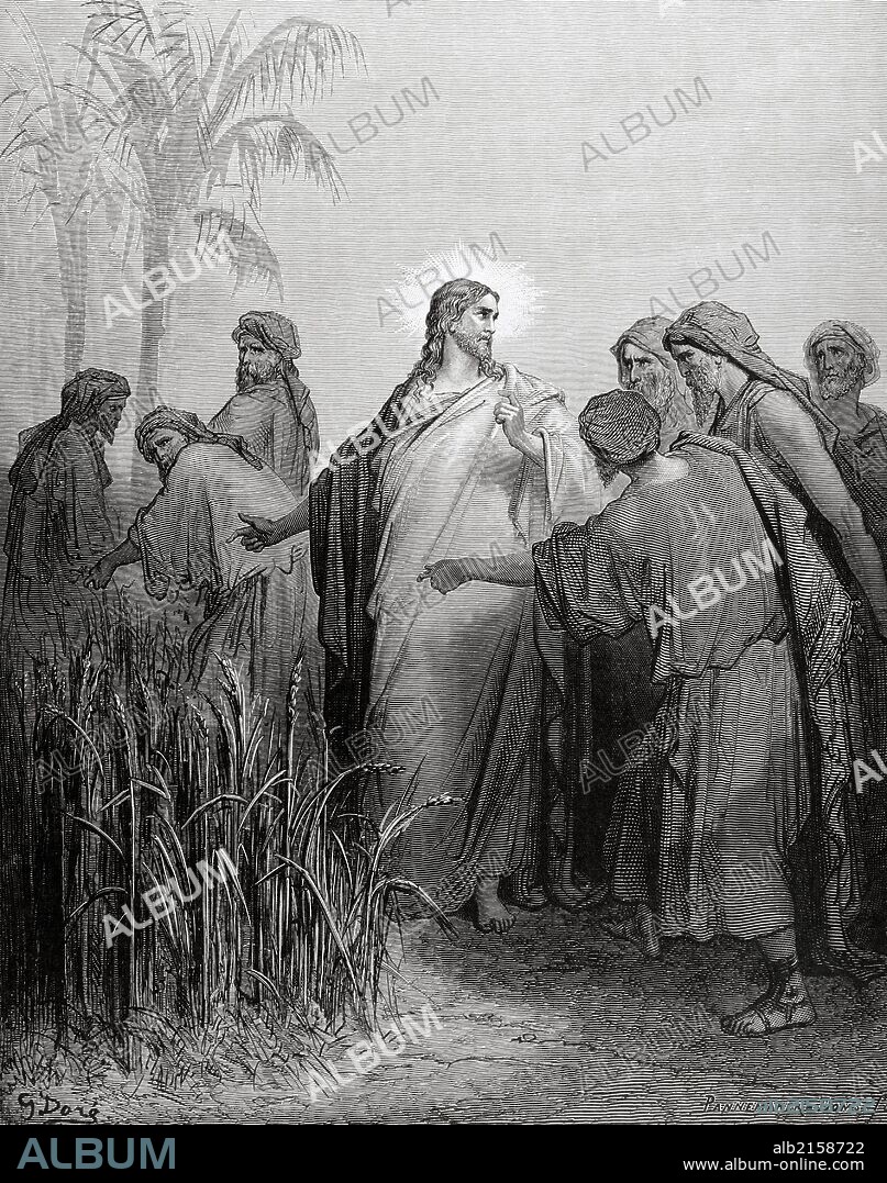 PAUL GUSTAVE DORÉ (basado en). NUEVO TESTAMENTO. JESUS "LOS APOSTOLES RECOGIENDO ESPIGAS EL DIA DEL SABADO". Evangelio de San Mateo, Cap. XII. Versículo 1 al 8. Dibujo de Gustavo Doré. Grabado de Pannemaker.