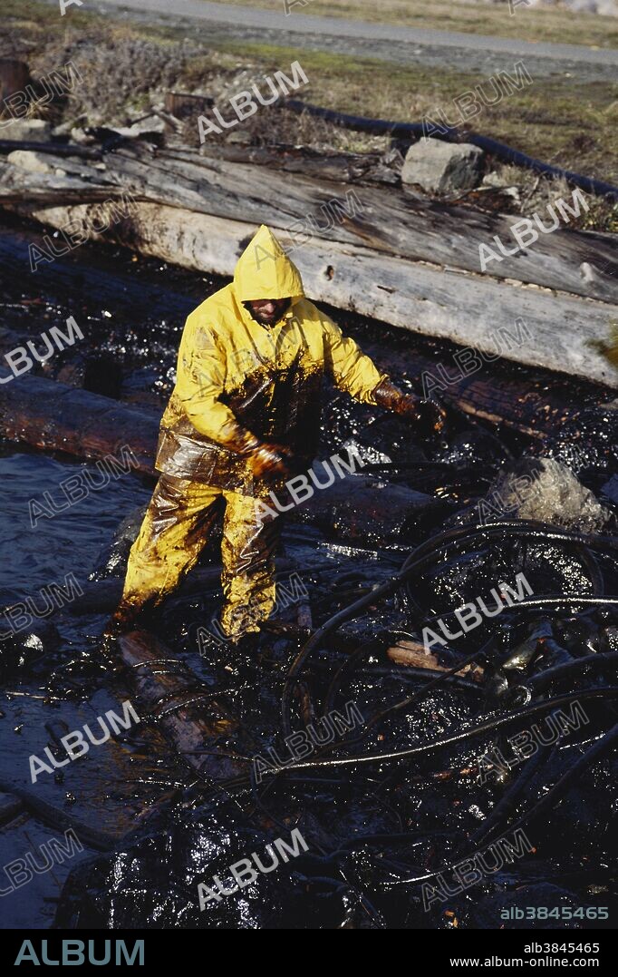 An environmental worker cleans up the beach of Ediz Hook, Port Angeles, Washington. The beach was heavily oiled by the Alaska North Slope (ANS) crude oil spilled subsequent to the grounding of the Arco Anchorage, December 21, 1985. The reclamation effort lasted until April of the following year, and reduced crude oil concentrations from an average of 2,240 ppm (just after the spill) to 670 ppm.