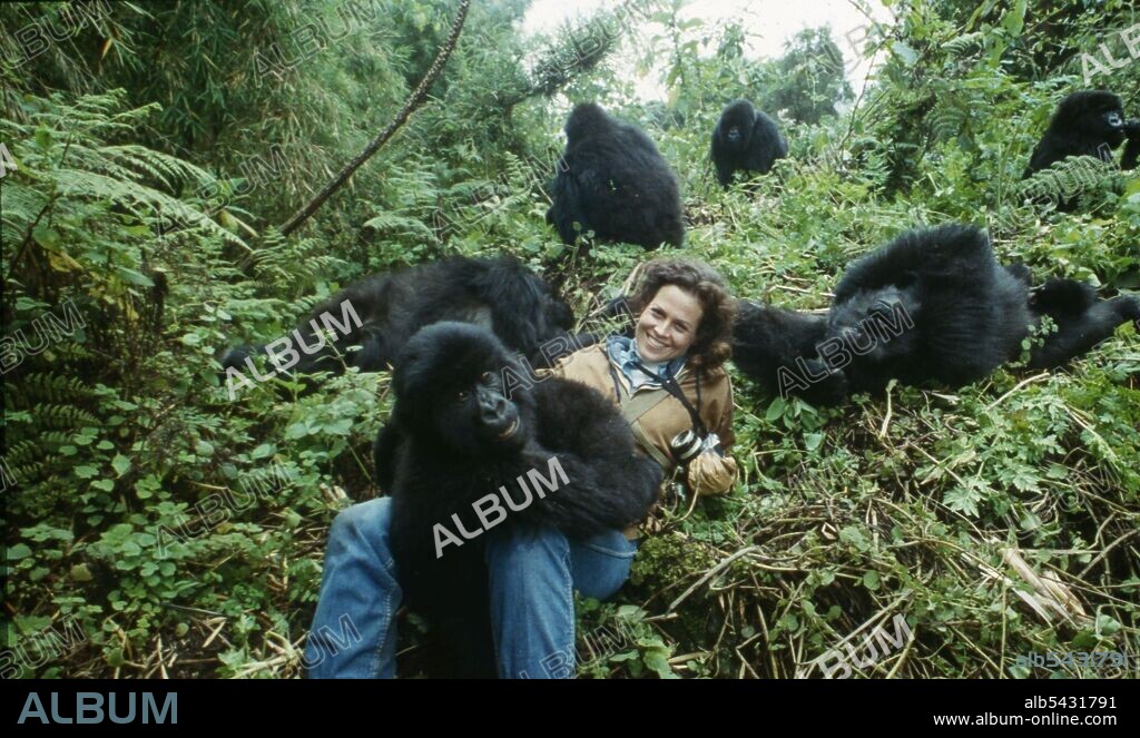 GORILLAS IN THE MIST: THE STORY OF DIAN FOSSEY, 1988, unter der Regie von MICHAEL APTED. Copyright WARNER BROTHERS.
