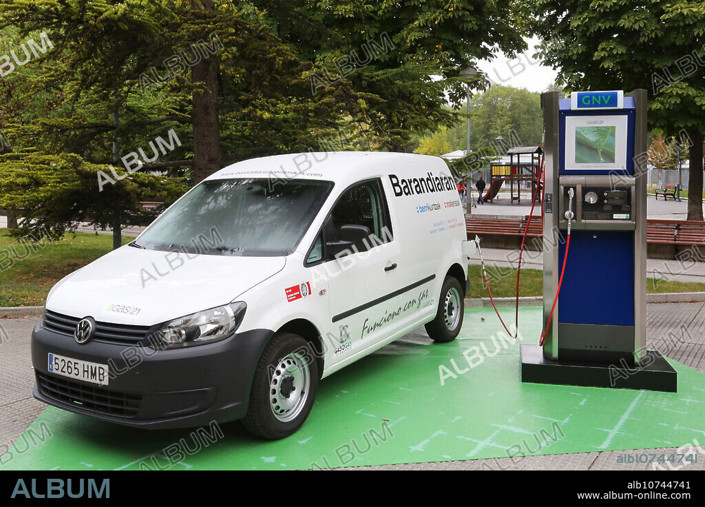 Assortment for gas vehicles, Green cars, Vitoria Gasteiz, Araba, Basque Country, Spain.