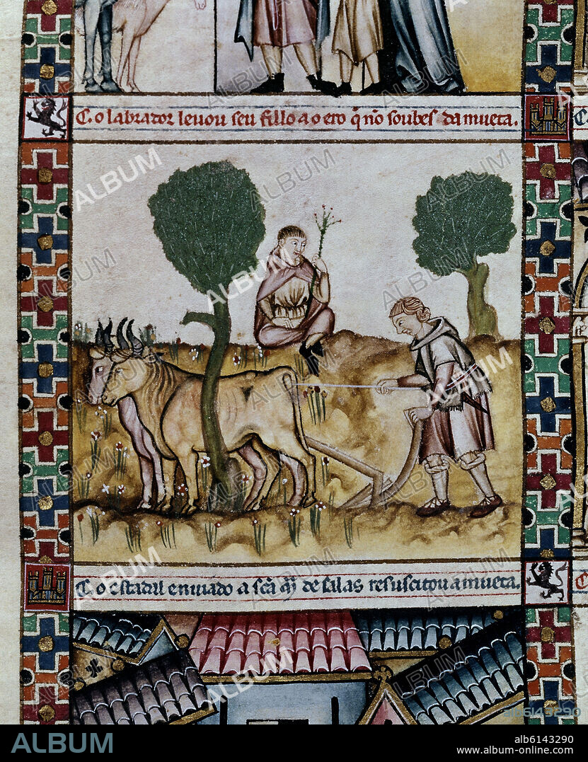ALFONSO X DE CASTILLA EL SABIO. MTI1-CANTIGA STA MARIA Nº178-F237R-C-CAMPESINO DE ALCARAZ ARANDO CON GANADO-MINIATURA S XIII.