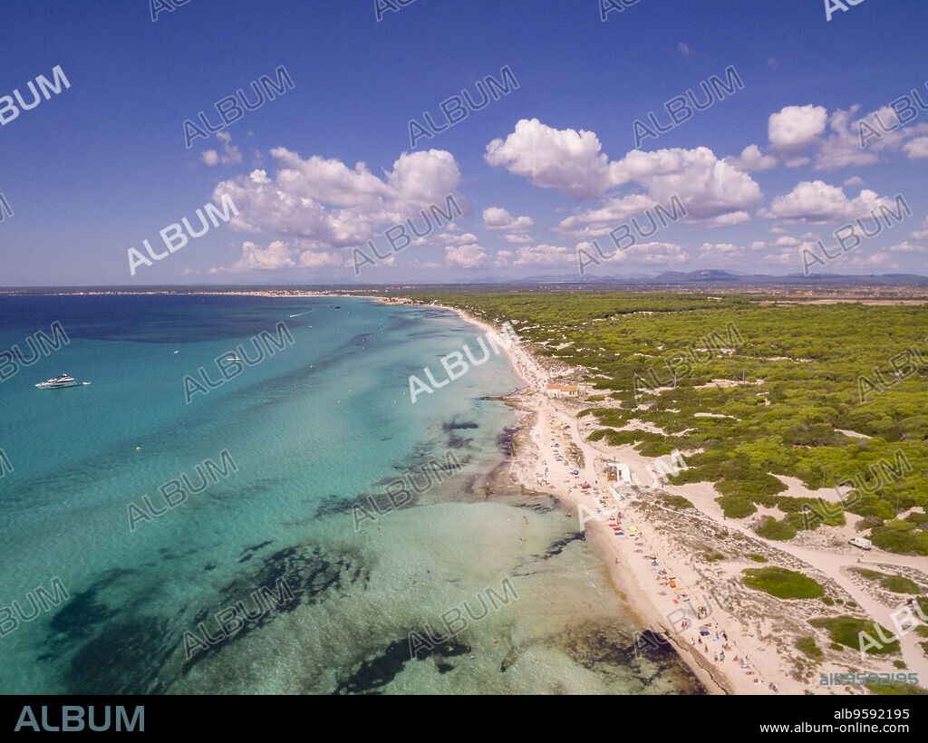 Es Trenc beach, Natural Area of Special Interest, Campos municipality, Mallorca, Balearic islands, Spain.