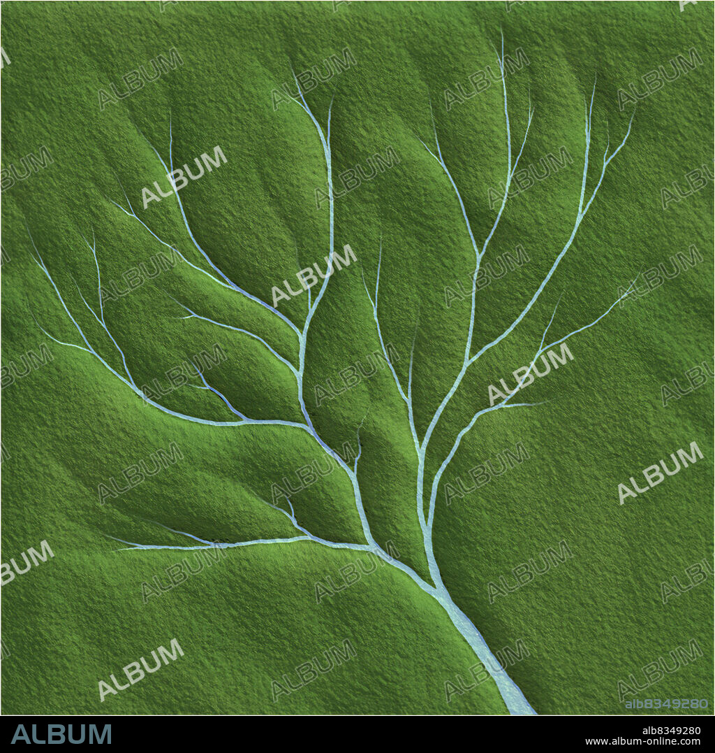 The dendritic drainage pattern is one of the most common. It is found in zones where the relief and nature of the rocks are homogeneous.