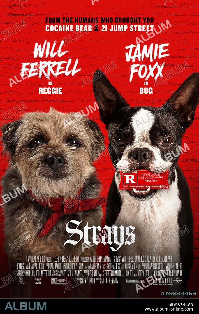 Poster de VIDA PERRA, 2023 (STRAYS), dirigida por JOSH GREENBAUM. Copyright Lord Miller / Picturestart.