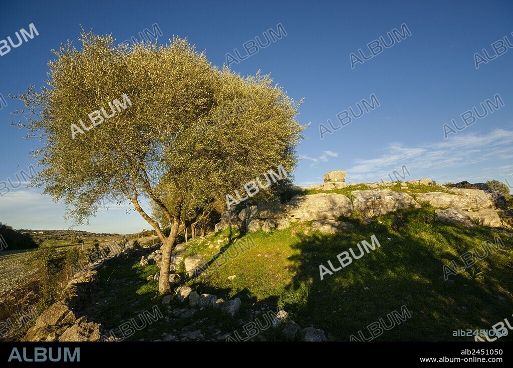 yacimiento talayotico de Son Fornes, Montuiri, época talayótica (1300-123 a. C.) Comarca de Es Pla , Mallorca, Spain.