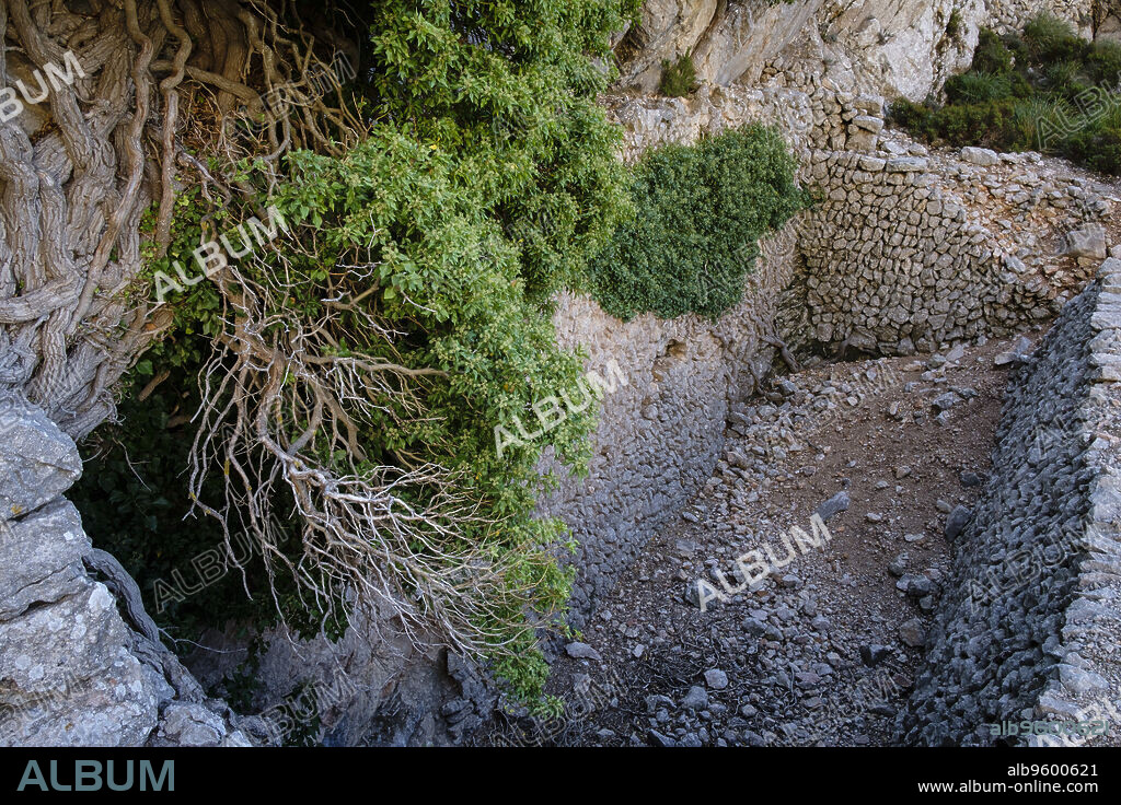 Coma de n'Arbona, Casas de Nieve o Cases de Neu, término municipal de Fornalutx, paraje natural de la Sierra de Tramuntana, Mallorca, balearic islands, Spain.