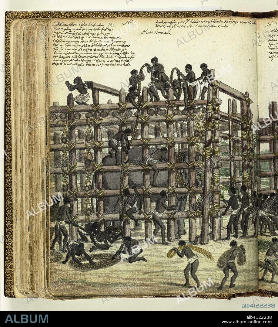 Restraining a Wild Elephant. Draughtsman: Jan Brandes. Dating: Dec-1785. Place: Ja-Ela. Measurements: h 195 mm × w 155 mm.
