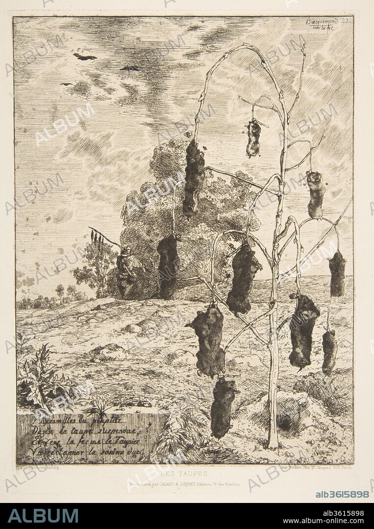 Les Taupes. Artist: Félix Bracquemond (French, Paris 1833-1914 Sèvres). Dimensions: Sheet: 19 1/8 × 12 1/16 in. (48.6 × 30.7 cm)
Plate: 10 5/8 × 7 5/8 in. (27 × 19.4 cm). Printer: Auguste Delâtre (French, Paris 1822-1907 Paris). Published in: Paris. Publisher: Cadart & Luquet. Date: 1854.