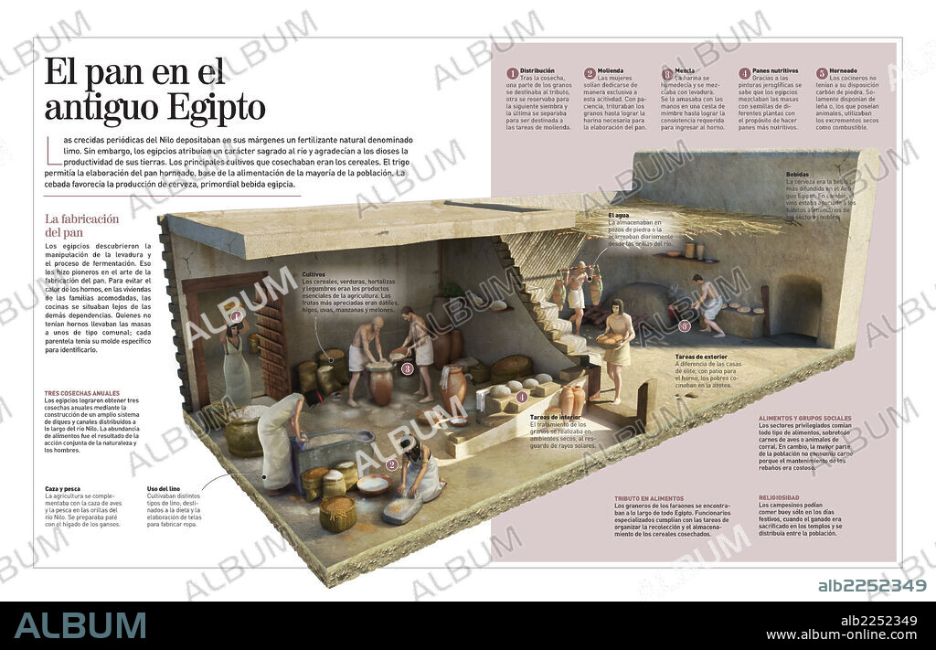 El pan en el antiguo Egipto. Infografía sobre los hábitos alimenticios en el antiguo Egipto, basados en el pan (3000 a.C.).