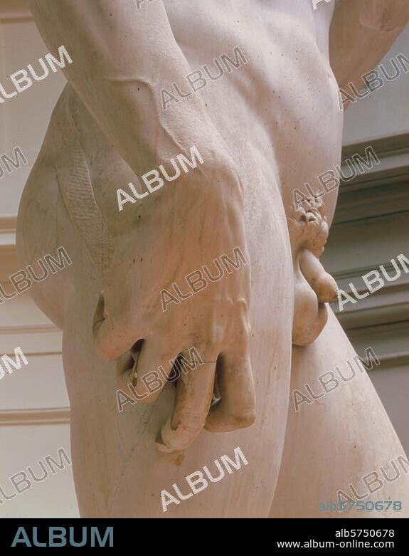 Michelangelo Buonarroti. 1475-1564. "David", 1501-4. Marble; height 434cm. (Detail). Florence, Galleria dell'Accademia.