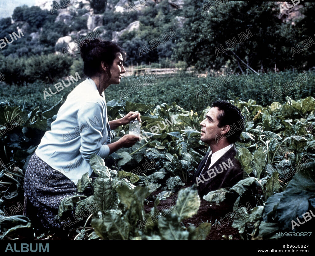FERRAN RAÑE y PASTORA VEGA en AMANECE, QUE NO ES POCO, 1989, dirigida por JOSE LUIS CUERDA. Copyright COMPAÑIA DE AVENTURAS COMERCIALES.