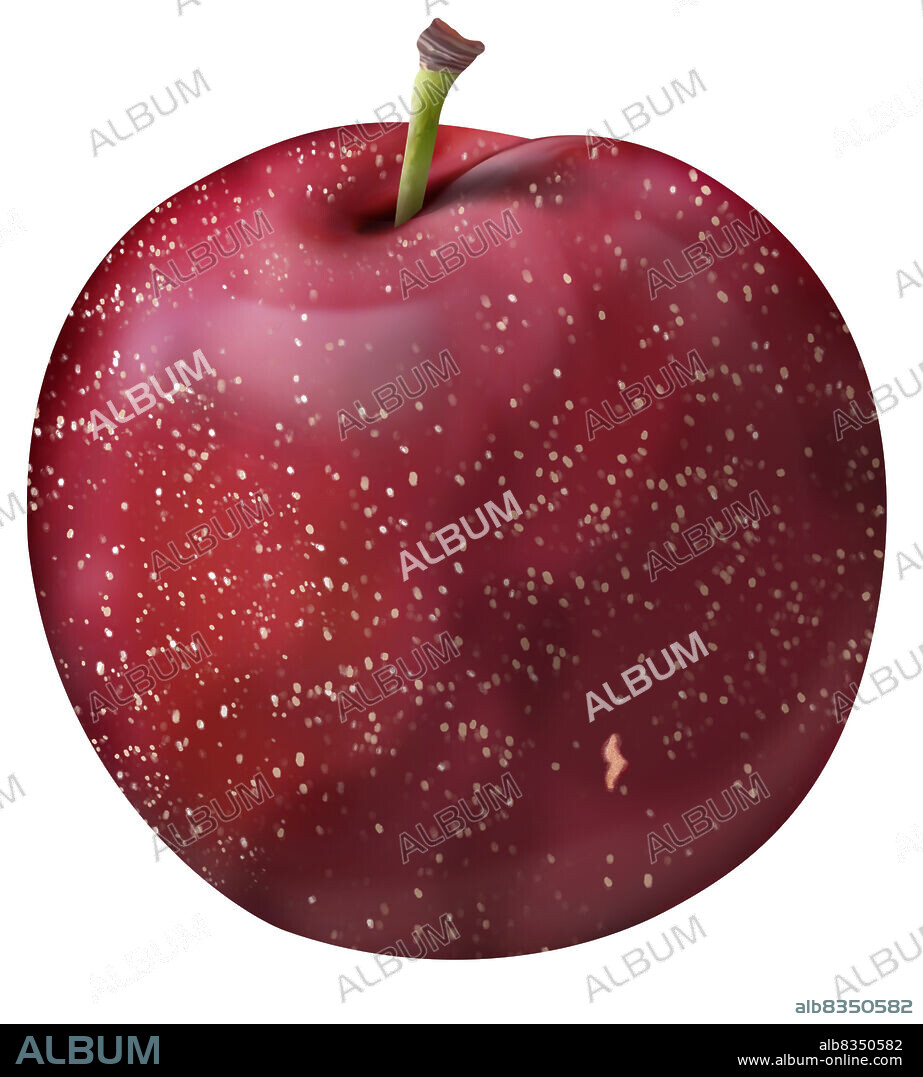 Pluot is a hybrid fruit, made from plum and apricot. It is mostly plum, but his flesh is softer.