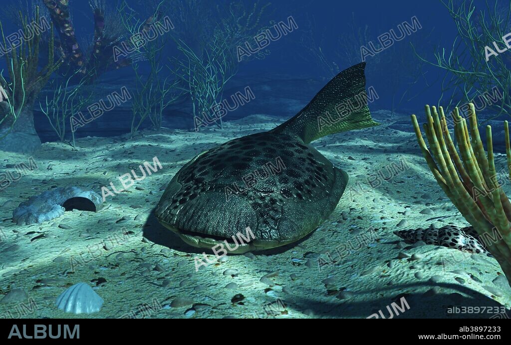 An 8-inch-long primitive jawless fish of the species Drepanaspis gemuendenensis settles on the bottom of a shallow Devonian sea 380 million years ago. With a flat, paddle-shaped head and upwards-facing jawless mouth, Drepanaspis was one of the more unique sea creatures of its time. Based upon its overall shape it is believed to have been a bottom feeder, though it's not known what it would have eaten.