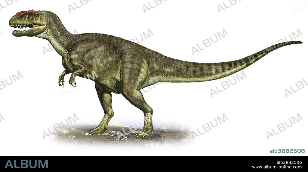 Yangchuanosaurus shangiouensis, a prehistoric era dinosaur from the Late Jurassic period.