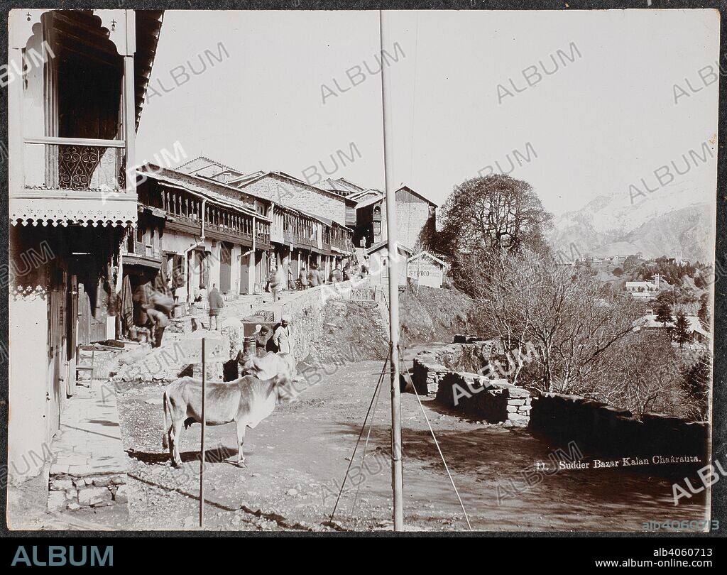 The Sudder Bazar, Kalan, Chakrauta. The studio of Gopal Sahai & Sons is at the end of the bazaar. Photograph. 1910s. Source: Photo 735/1(27).