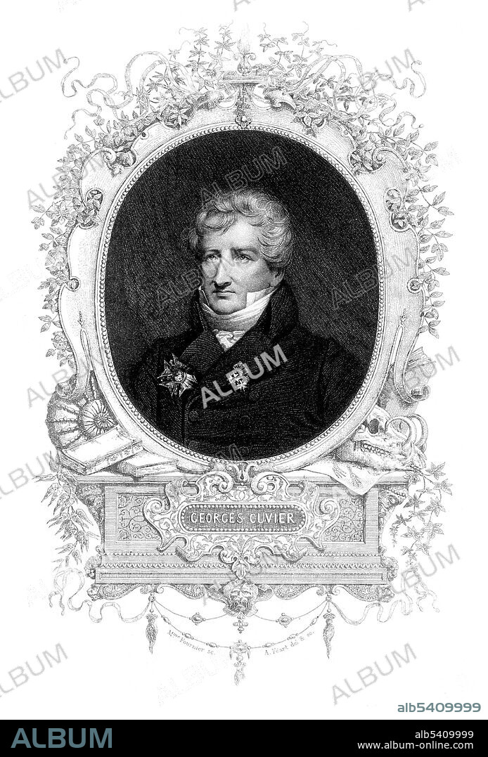 Georges Cuvier (August 23, 1769 - May 13, 1832) was a French naturalist and zoologist, sometimes referred to as the "Father of paleontology". He originated a system of zoological classification that grouped animals according to the structures of their skeletons and organs. Cuvier extended his system to fossils; his reconstructions of the way extinct animals looked, based on their skeletal remains, greatly advanced the science of paleontology. He was a major figure in natural sciences research in the early 19th century, and was instrumental in establishing the fields of comparative anatomy and paleontology through his work in comparing living animals with fossils. He is well known for establishing extinction as a fact, being the most influential proponent of catastrophism in geology in the early 19th century. He established the fields of stratigraphy and comparative anatomy. Cuvier made the first thorough, published documentation of faunal succession in the fossil record, making extinction an accepted scientific phenomenon. He died in 1832, at the age of 62, during an epidemic of cholera. Stipple engraving by Félicie Fournier after A. Féart.