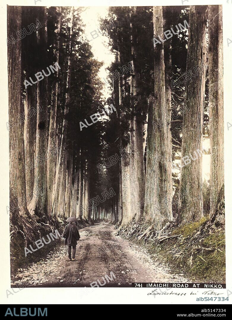 Kzabur Tamamura, 741 Imaichi Road at Nikko, albumin paper, black and white positive process, hand-colored, image size: height: 25.20 cm; width: 19.30 cm, titled, 741 Imaichi Road at Nikko, inscribed, in black ink: country road at Nikko, inscribed: recto o. r.: printed in blue: 88, travel photography, forest, country road, way, path, trees, bushes, man, Nikk.