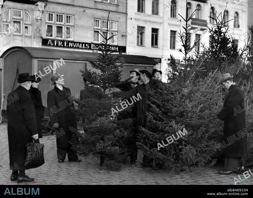 Julgransförsäljning Bild daterad 19411216. Handel Försäljning av julgranar . på Gustav Adolfs torg i Malmö 1941. Helger Jul Granar Julgranar Handel. Malmö Gamla Malmö Torg Gustav Adolfs torg. (c) Sydsvenskan / IBL Bildbyrå.