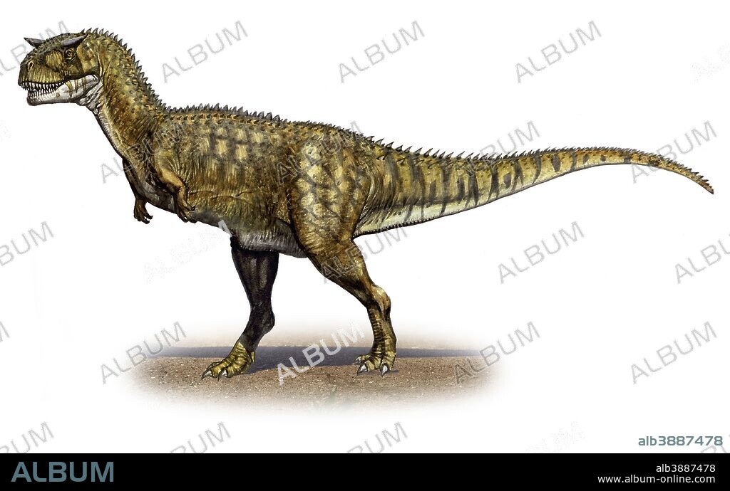 Carnotaurus sastrei, a prehistoric era dinosaur from the Late Cretaceous period.