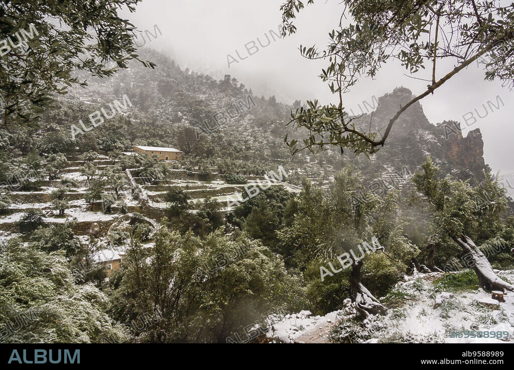 Barranco de Biniaraix, Soller, Mallorca, balearic islands, spain, europe.