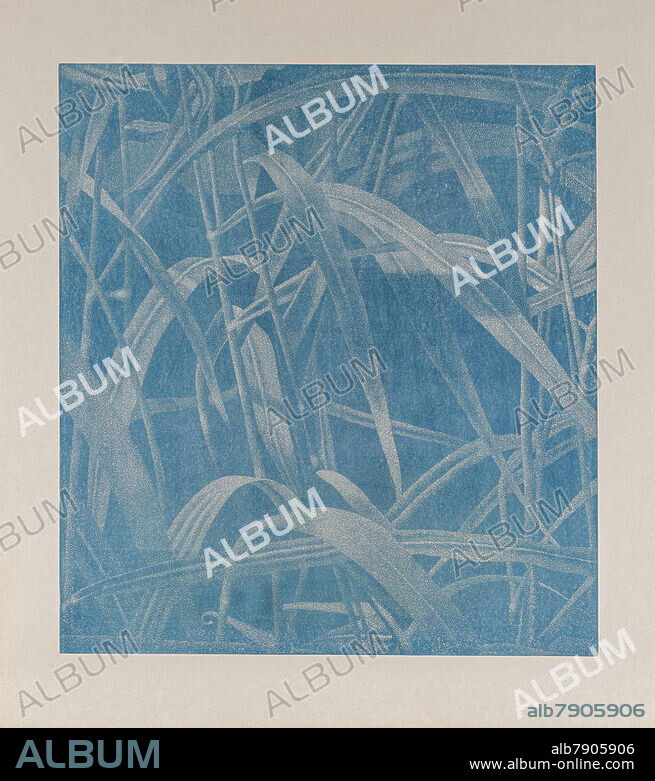 Gertsch, Franz. <br />1930 Mörigen/Bern.  <br /><br />Grasses I (Sky Blue). 1999/2000. Woodcut on Kumohadamashi-Japan by Ivano Heizaburo. 136 x 124.5cm (170 x 153cm). Signed and numbered (verso). Number 3/27. Framed. Not examined out of the frame. <br /><br />Sheet with minimal creases in the margins. Recto mounted on the upper edge with pins. <br /> <br />Provenance: <br />- Galerie Michael Haas & Fuchs, Berlin <br />- Corporate collection Germany <br /> <br />Literature: <br />- Firmenich, Andrea/Janssen, Johannes (eds.): Franz Gertsch - Holzschnitte. Aus der Natur <br />Gerissen, Cologne 2013, cat.rais.-no. 22. <br />. Art trade, Van Ham.