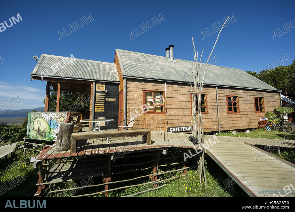 Parque Nacional Chiloé, Cucao, cordillera de la costa, archipiélago de Chiloé ,provincia de Chiloé ,región de Los Lagos,Patagonia, República de Chile,América del Sur.