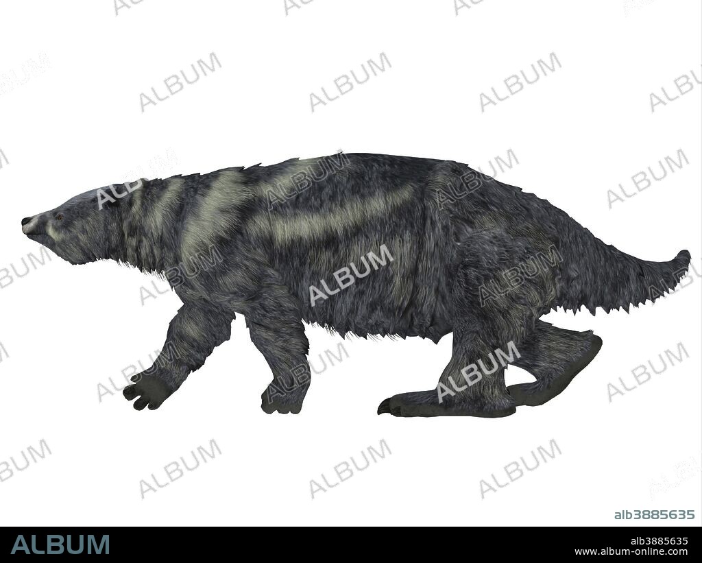 Eremotherium ground sloth, side view. Eremotherium was one of the largest ground sloths that lived in North and South America in the Pleistocene Period.