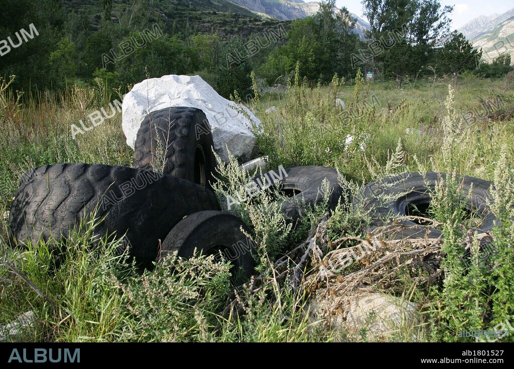 Ruedas viejas abandonadas en un bosque próximo a la localidad de Benasque. Provincia de Huesca. Aragón. España.