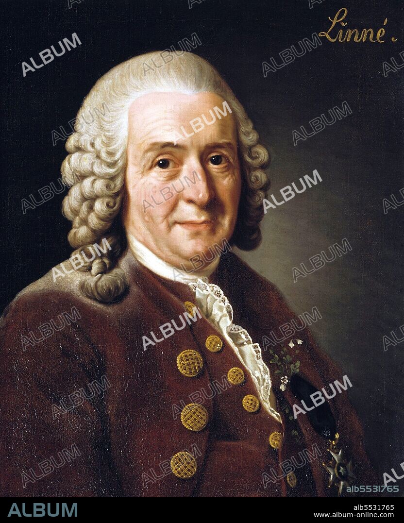 Carl Linnaeus, also known after his ennoblement as Carl von Linné, was a Swedish botanist, physician, and zoologist, who laid the foundations for the modern biological naming scheme of binomial nomenclature. He is known as the father of modern taxonomy, and is also considered one of the fathers of modern ecology.