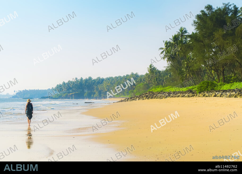 Lone traveller on lovely palm-fringed Kizhunna Beach, south of Kannur on Kerala's north coast, Kizhunna, Kannur, Kerala, India, Asia.